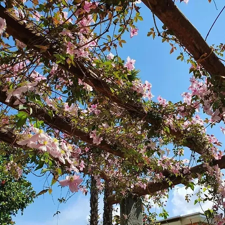 Casa Delle Vigne By Interhome * Minusio