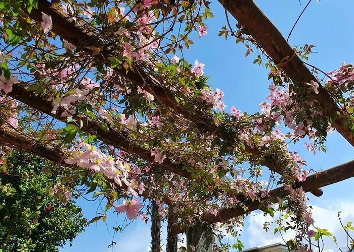 Casa Delle Vigne By Interhome * Minusio