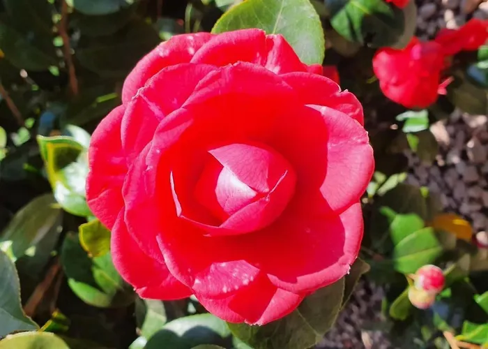 Casa Delle Vigne By Interhome * Minusio